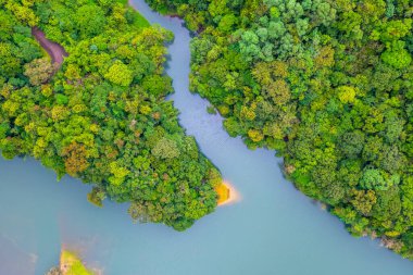 18 Haziran 2022 Yukarı Shing Mun Rezervuarı HK 'da bir rezervuar.