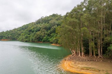 18 Haziran 2022 Yukarı Shing Mun Rezervuarı HK 'da bir rezervuar.