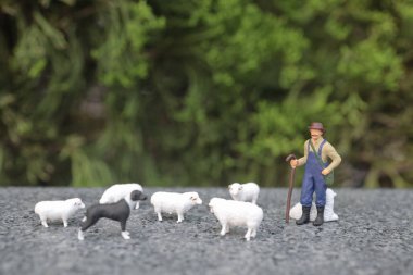 Mini Çiftçi ve Koyunlu Köpeği