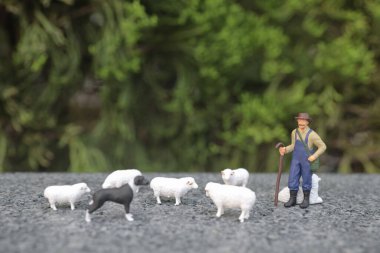 Mini Çiftçi ve Koyunlu Köpeği