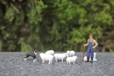 Mini Çiftçi ve Koyunlu Köpeği