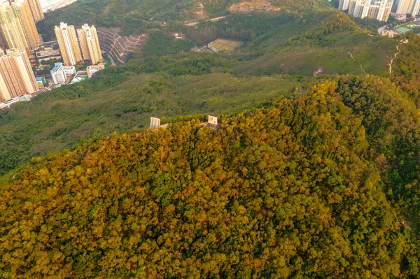 2022年5月1日黑山绿林景观 — 图库照片