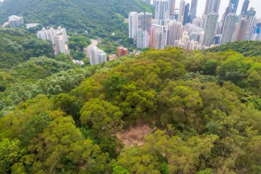 1 Mayıs 2022 Lung Fu Shan Şehir Parkı manzarası