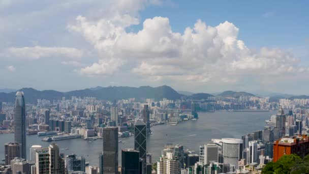 May 2022 Hong Kong Skyline Victoria Harbour — Video Stock