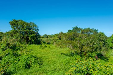 Sai kung 'daki Miu Tsai Tun Zirvesi.