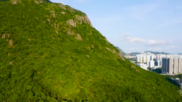 July 2022 City Scape Kowloon South Kowloon Peninsula — Stockvideo