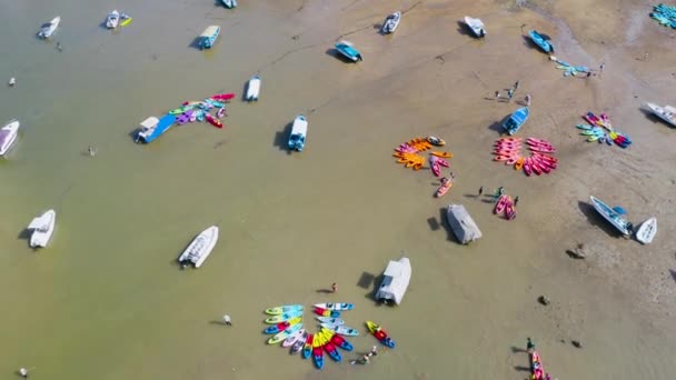 May 2022 Rowers Canoes Floating Shore Sai Kung — Wideo stockowe