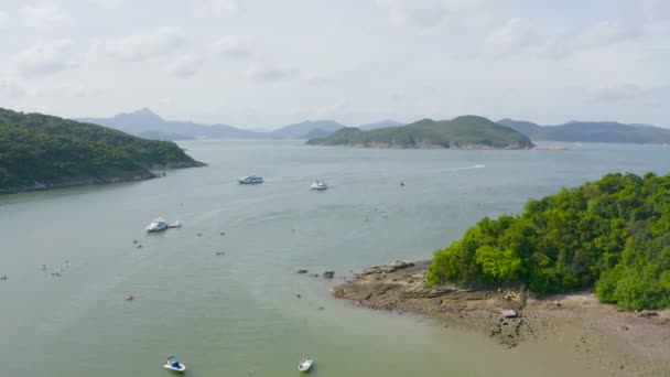 May 2022 Rowers Canoes Floating Shore Sai Kung — Stock Video