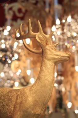 26 Dec 2011 the image of Christmas at hong kong 