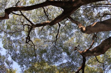 11 Dec 2011 the Academy of Visual Arts, Hong Kong Baptist University