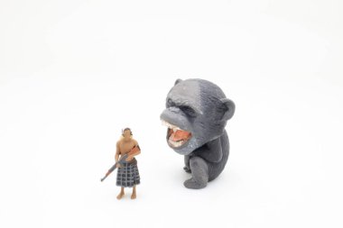 the mini of african with the monkey