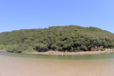 the river mouth of Sheung Luk Stream, hk