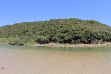 the river mouth of Sheung Luk Stream, hk
