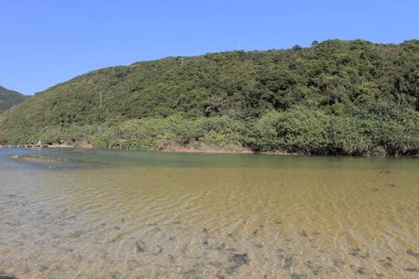 the river mouth of Sheung Luk Stream, hk