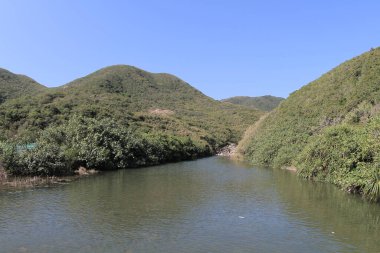 the river mouth of Sheung Luk Stream, hk