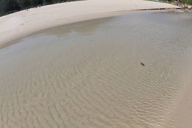 sand on the beach natural for background