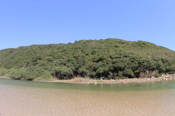 River Mouth Sheung Luk Stream — Fotografia de Stock