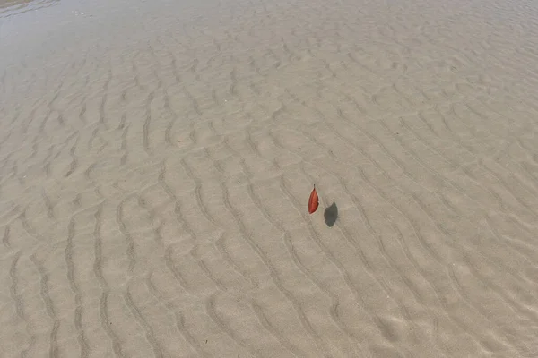 Песок Пляже Природный Фона — стоковое фото