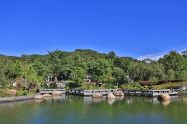 16 Aug 2022 the landscape of Hang Hau Man Kuk Lane Park