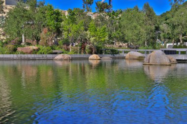 16 Aug 2022 the landscape of Hang Hau Man Kuk Lane Park