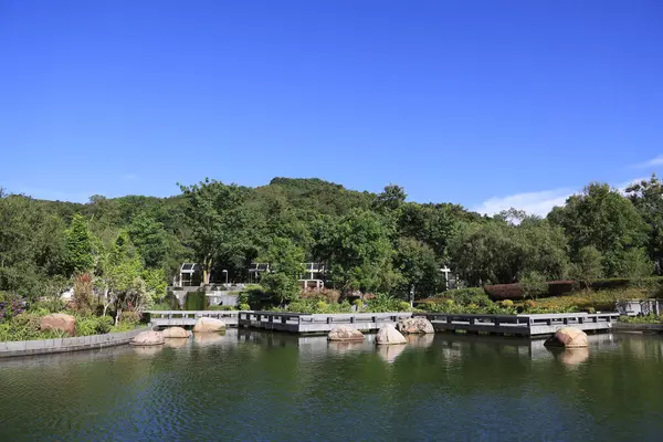 16 Aug 2022 the landscape of Hang Hau Man Kuk Lane Park
