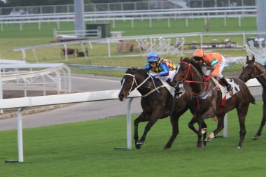 5 Nov 2011 Hong Kong horse racing - Shatin Racecourse Race