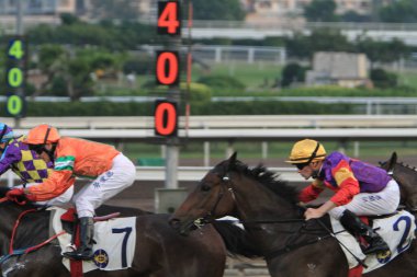 5 Nov 2011 Hong Kong horse racing - Shatin Racecourse Race
