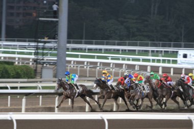 5 Nov 2011 Hong Kong horse racing - Shatin Racecourse Race