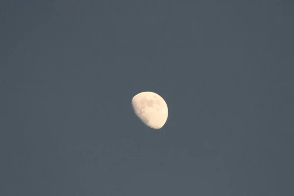 Lua Corpo Astronômico Que Orbita Planeta Terra — Fotografia de Stock