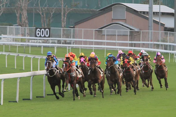 Nov 2011 Hong Kong Horse Racing Shatin Racecourse Race — Stok fotoğraf