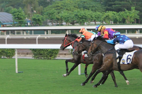 Nov 2011 Hong Kong Horse Racing Shatin Racecourse Race — Fotografia de Stock