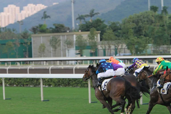 Nov 2011 Hong Kong Horse Racing Shatin Racecourse Race — Stok fotoğraf