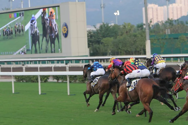 Nov 2011 Hong Kong Horse Racing Shatin Racecourse Race — Foto de Stock