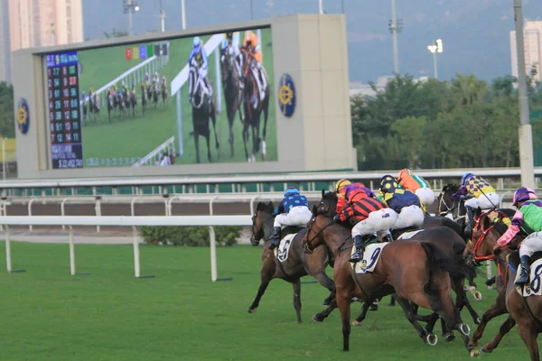 Nov 2011 Hong Kong Horse Racing Shatin Racecourse Race — Foto Stock