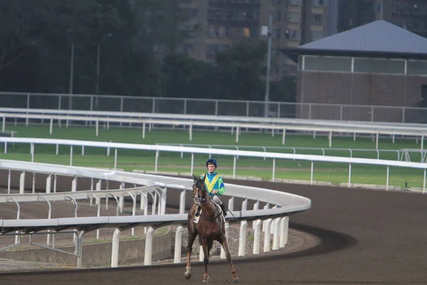 Nov 2011 Hong Kong Horse Racing Shatin Racecourse Race — Stok fotoğraf
