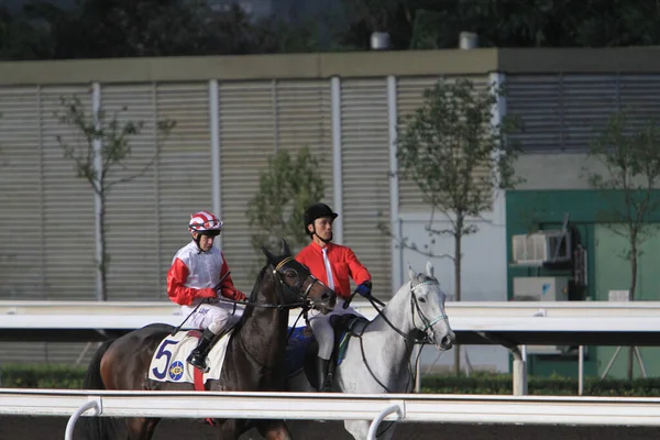 5 Nov 2011 Hong Kong horse racing - Shatin Racecourse Race