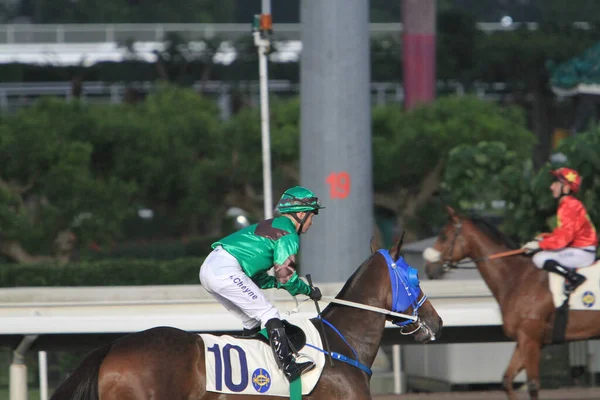 Nov 2011 Hong Kong Horse Racing Shatin Racecourse Race — Foto de Stock