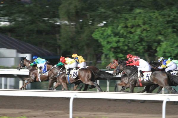 Nov 2011 Hong Kong Horse Racing Shatin Racecourse Race — Fotografie, imagine de stoc