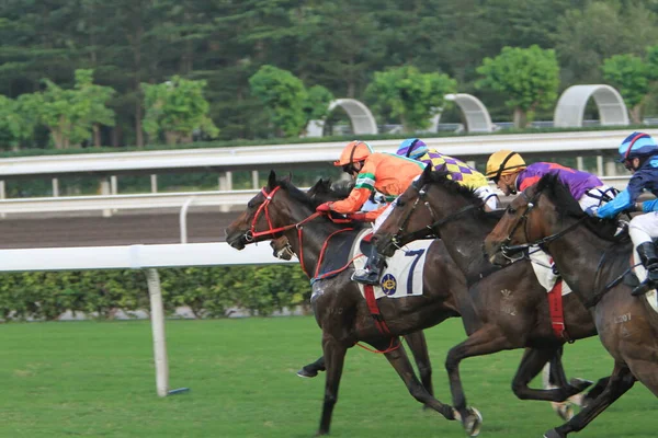 Nov 2011 Hong Kong Horse Racing Shatin Racecourse Race Stock Picture