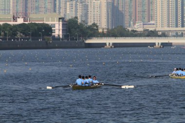 5 Nov 2011  team rowing to the at Shek Mun, hk