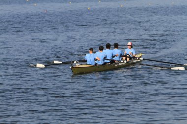5 Nov 2011  team rowing to the at Shek Mun, hk
