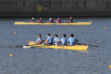 5 Nov 2011  team rowing to the at Shek Mun, hk