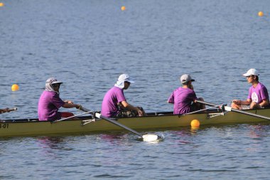 5 Nov 2011  team rowing to the at Shek Mun, hk