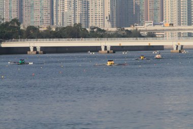 5 Nov 2011  team rowing to the at Shek Mun, hk