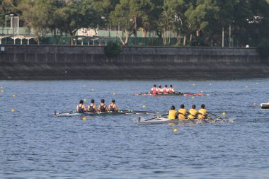 5 Nov 2011  team rowing to the at Shek Mun, hk