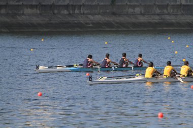 5 Nov 2011  team rowing to the at Shek Mun, hk