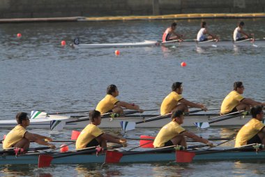 5 Nov 2011  team rowing to the at Shek Mun, hk