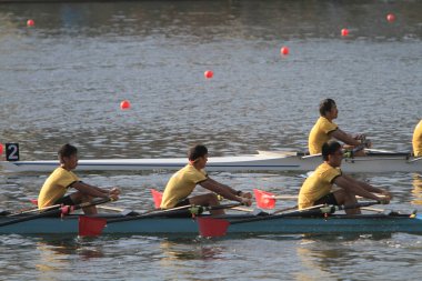 5 Nov 2011  team rowing to the at Shek Mun, hk
