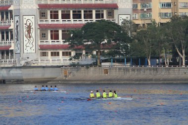 5 Nov 2011  team rowing to the at Shek Mun, hk