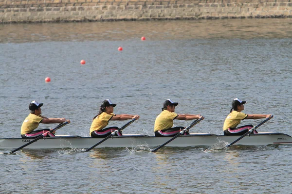 5 Nov 2011  team rowing to the at Shek Mun, hk